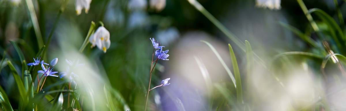 Frühling - Warten auf den Saisonstart