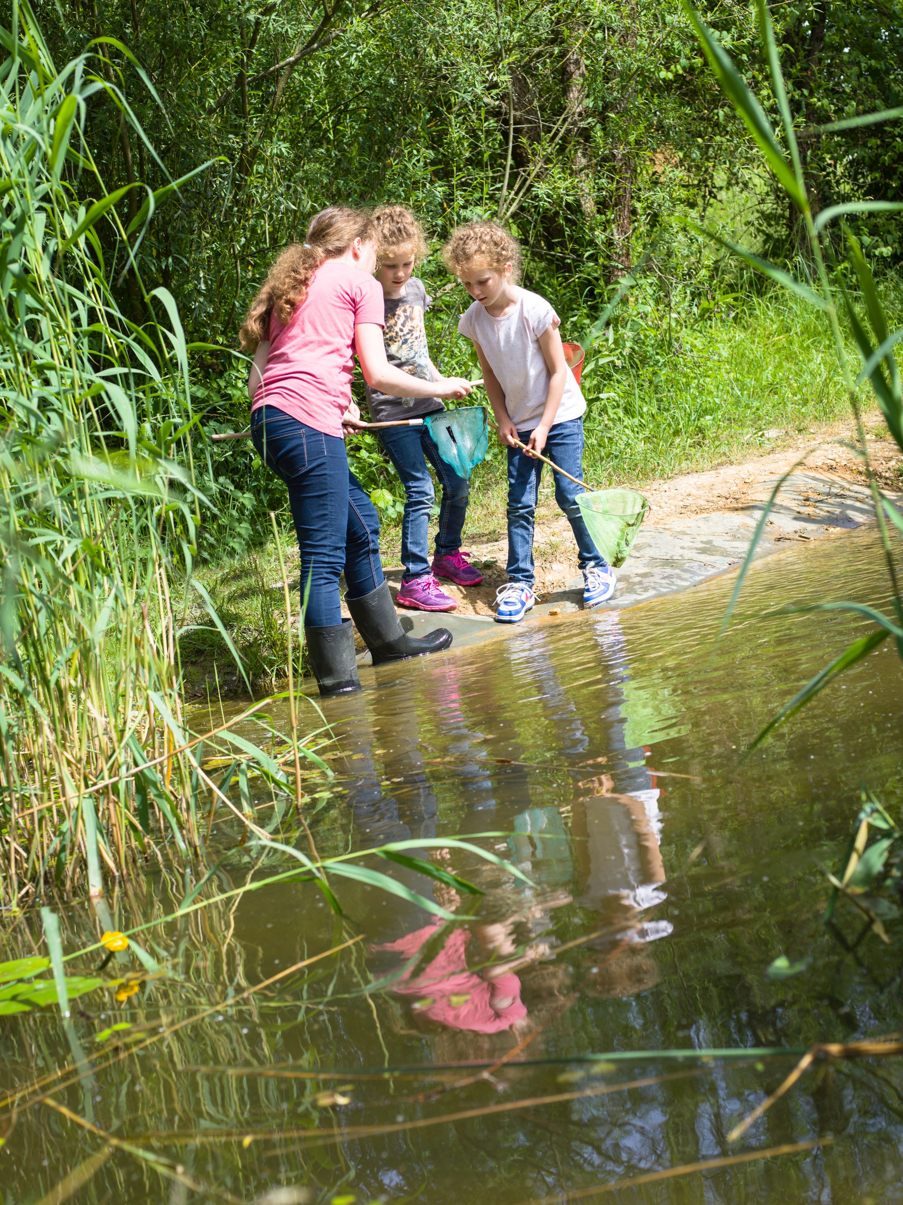 Allgemeine Führungen für Schulklassen und Gruppen
