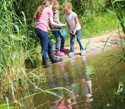 Allgemeine Führungen für Schulklassen und Gruppen
