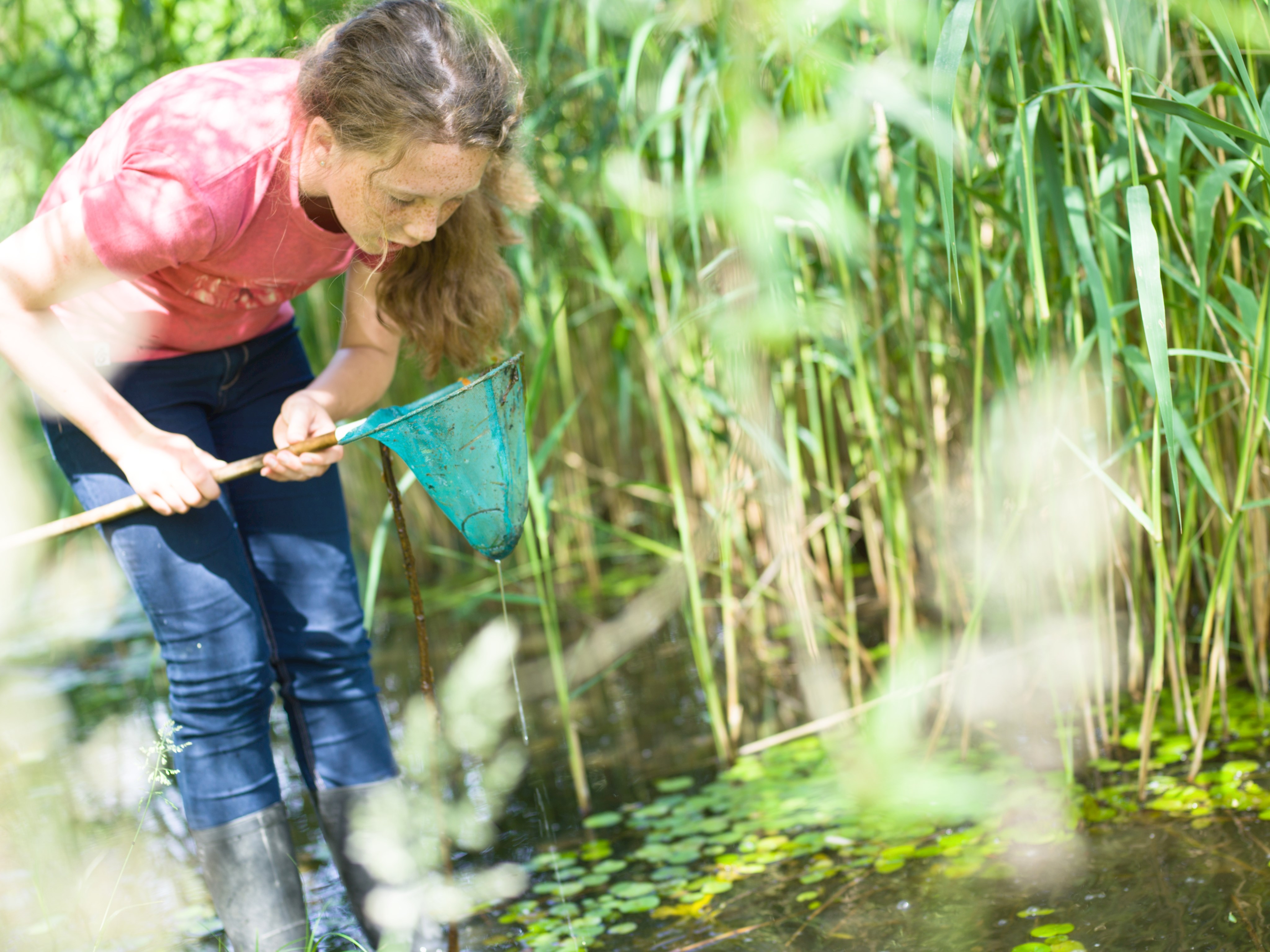 Lebensraum Wasser: Stoffkreisläufe und Nahrungsnetze