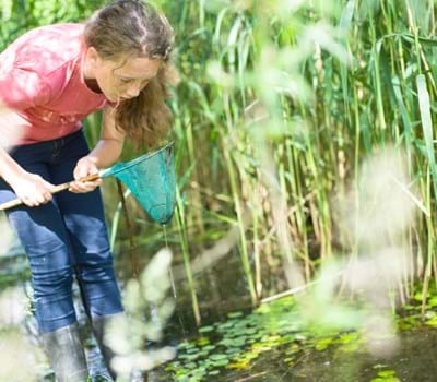 Lebensraum Wasser: Stoffkreisläufe und Nahrungsnetze