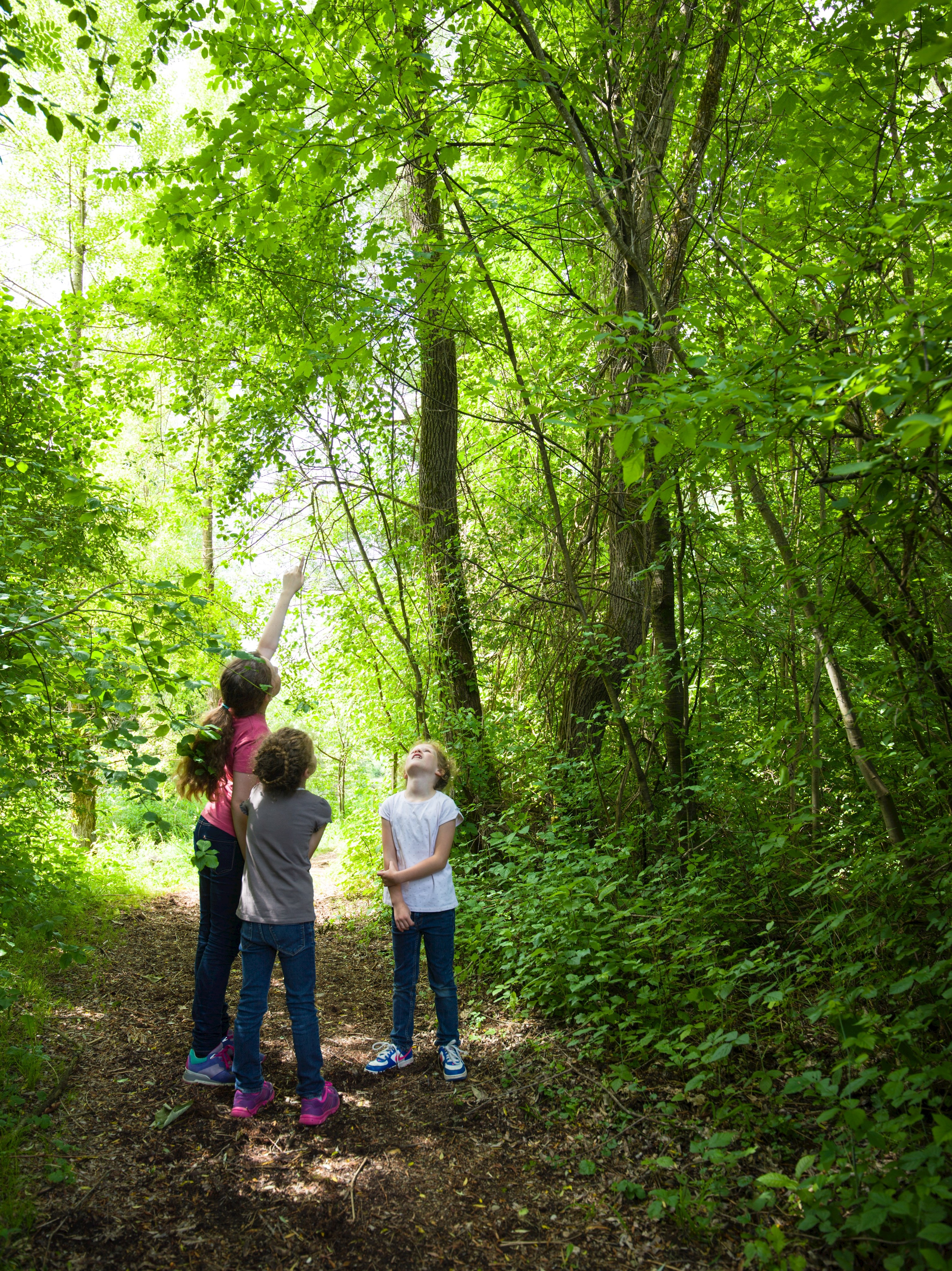 Thematische Führungen für Schulklassen aller Schularten