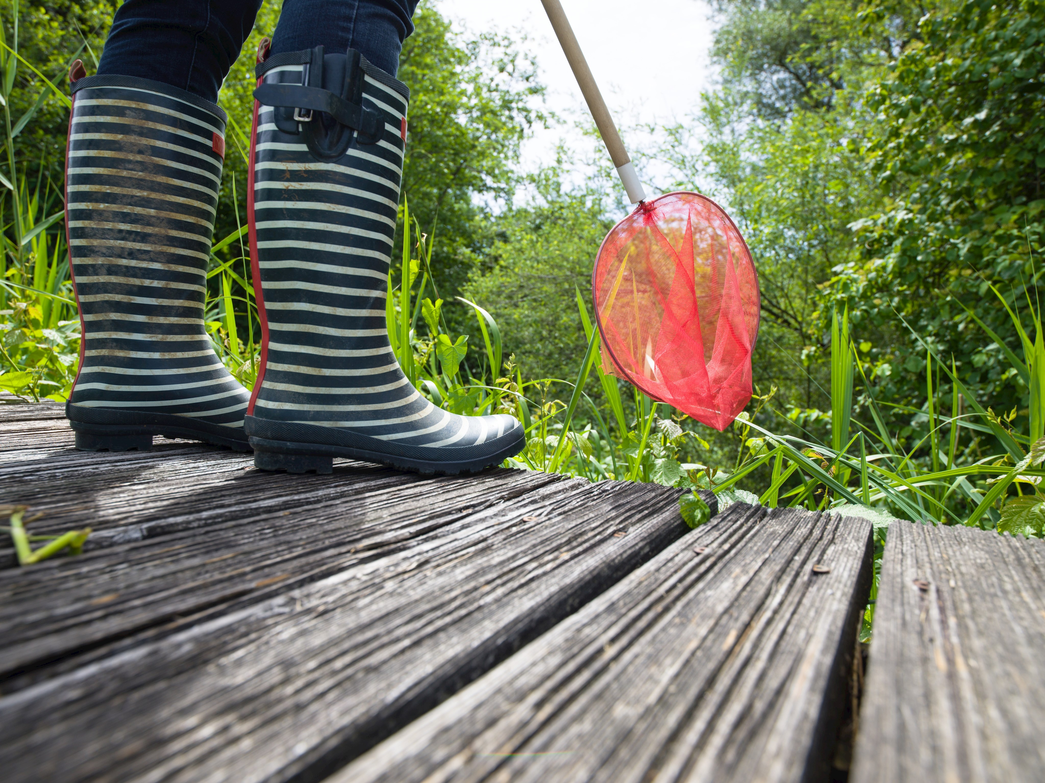 Thematische Führungen nur für Schulklassen - nach Lehrplänen geordnet