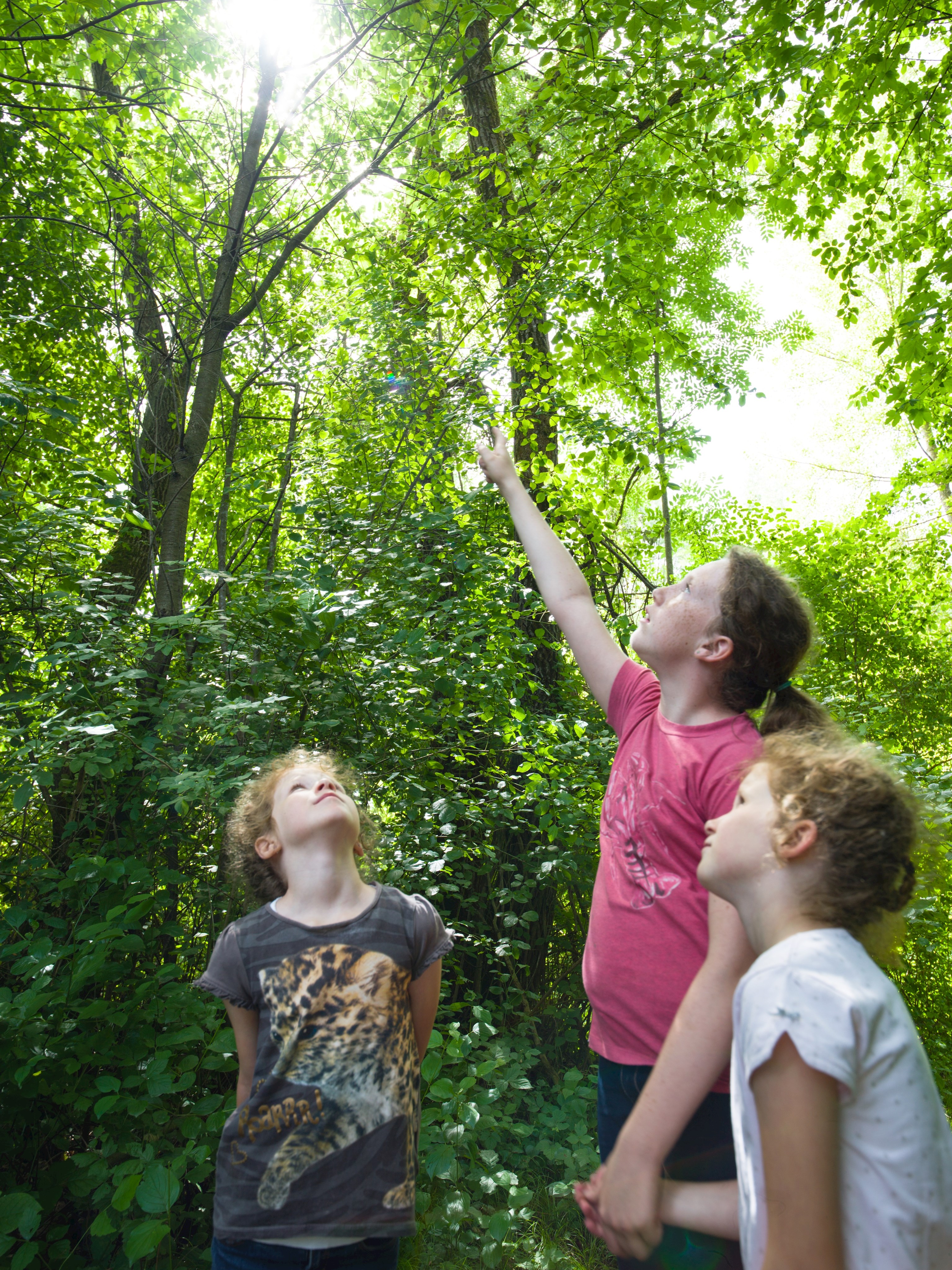 Das Isarmündungsgebiet II