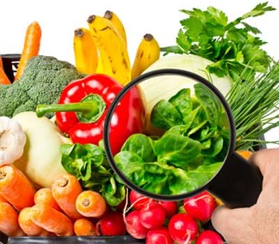 Nachhaltige Ernährung : Essen für die Zukunft