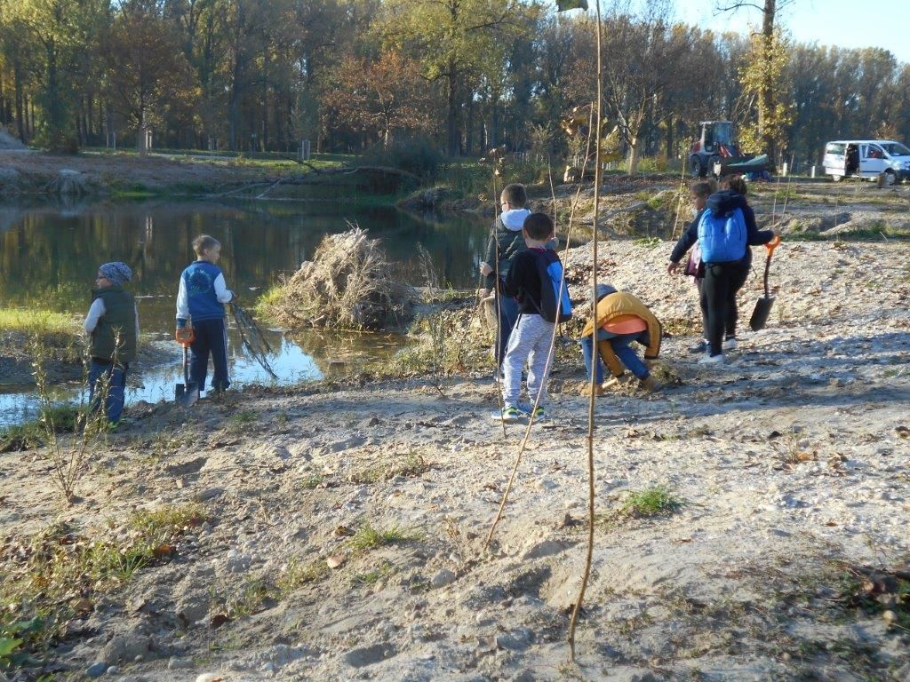 Selbst Hand anlegen für den Erhalt von bedrohten Pflanzenarten durch aktive Landschaftspflege im Isarmündungsgebiet unter Anleitung