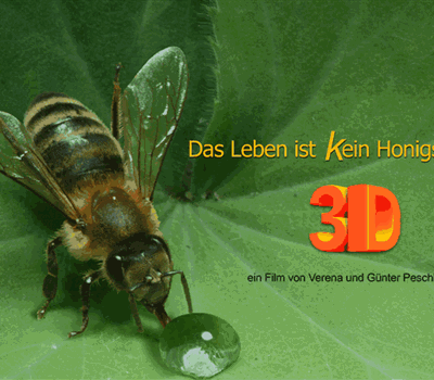 3D-Film "Das Leben ist (k)ein Honigschlecken"