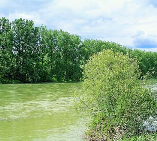 Lebensraum Fluss