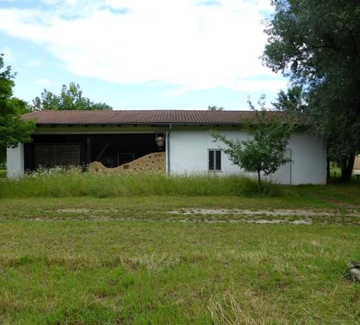 Haus der Bienen und Insekten
