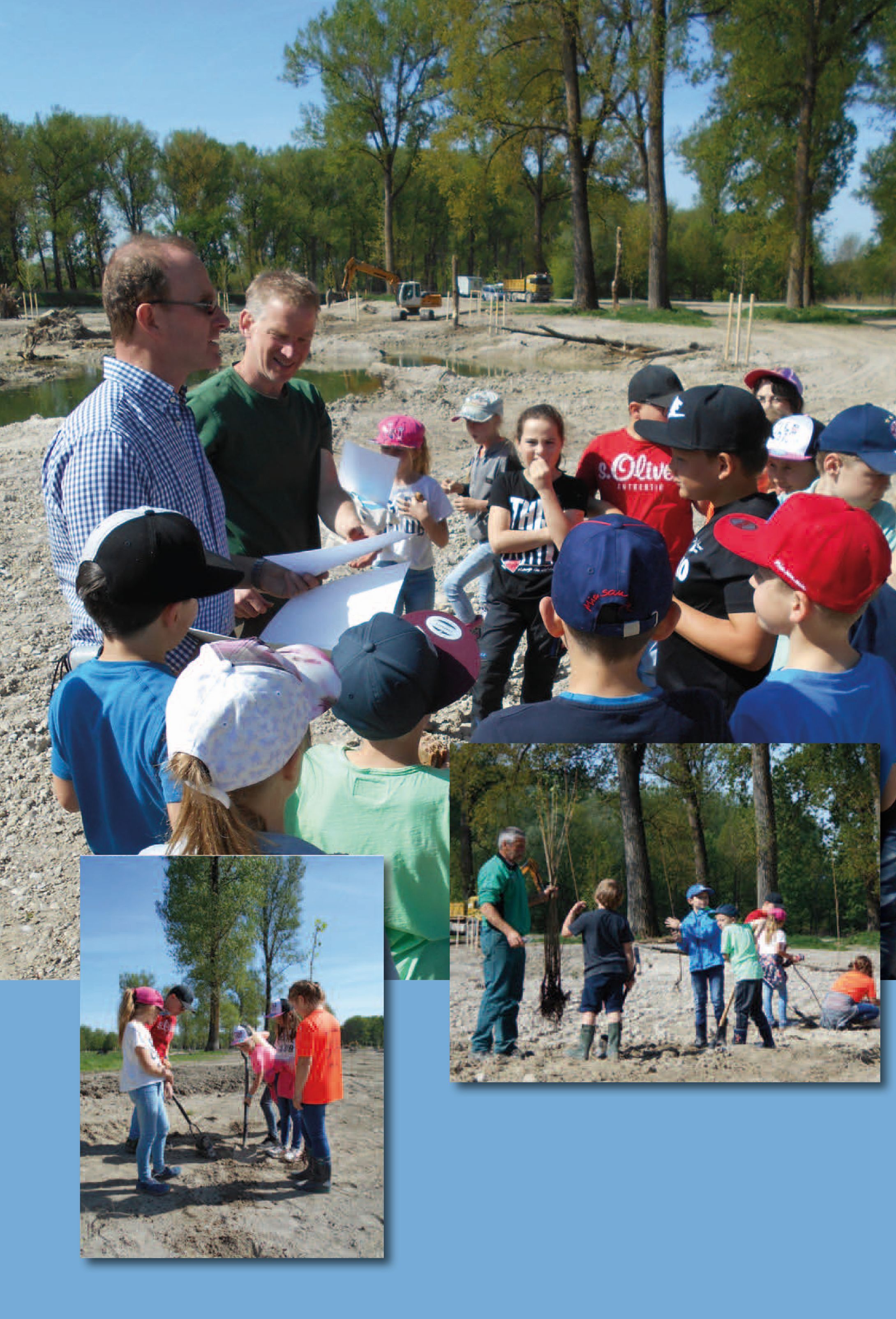Pflanzaktionen im Isarmündungsgebiet