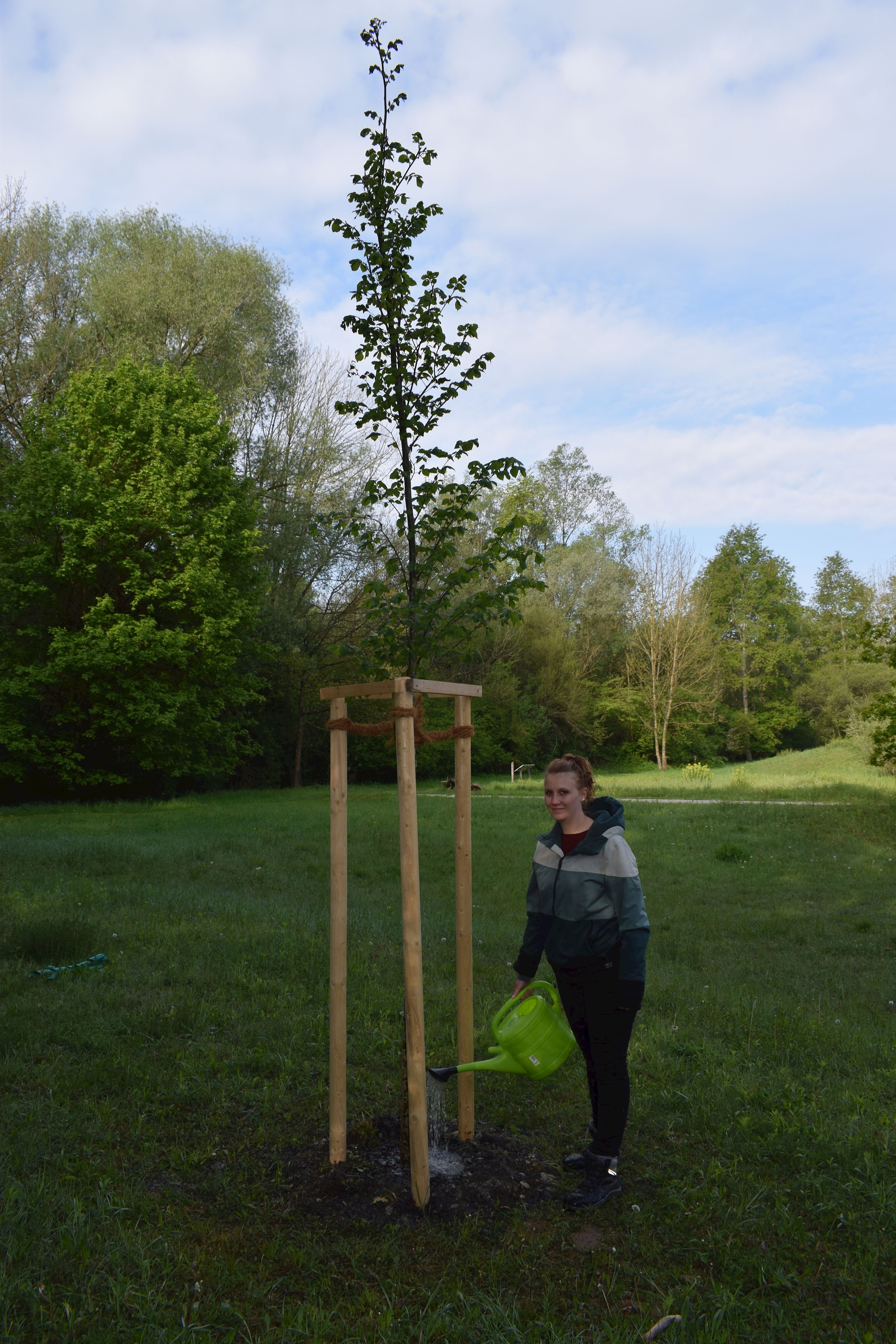 Pflanzaktion Flatterulme Johanna Gommel 26.04.2019.jpg