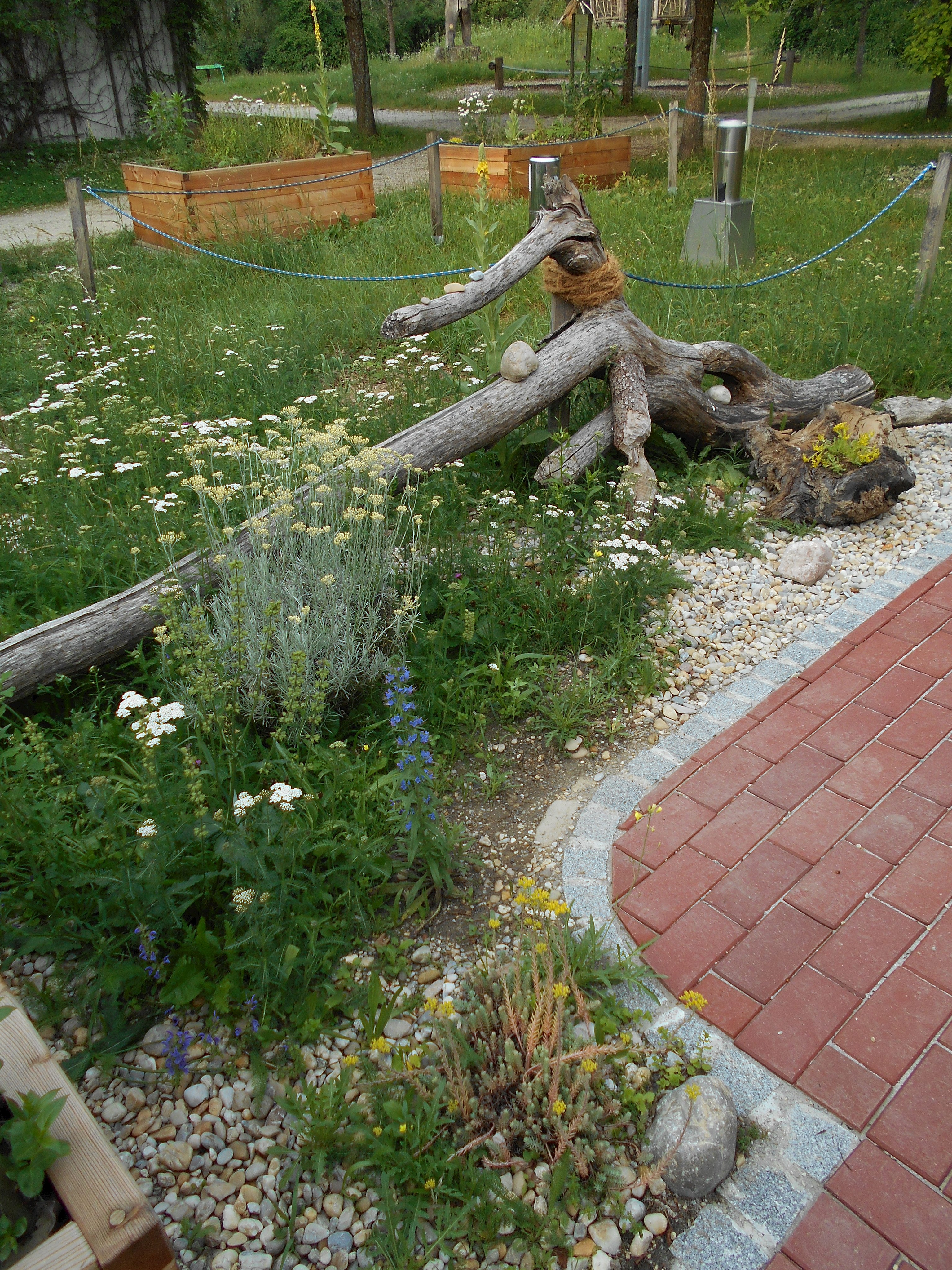 Blindengarten - Biberast 2.JPG