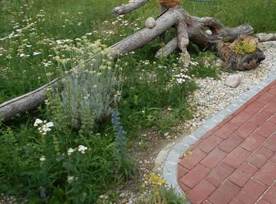 Blindengarten - Biberast 2.JPG