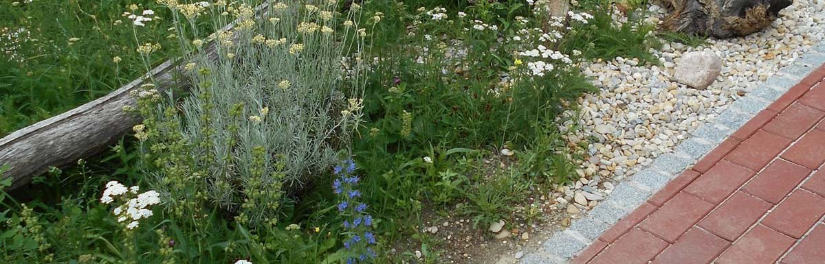 Blindengarten - Biberast 2.JPG