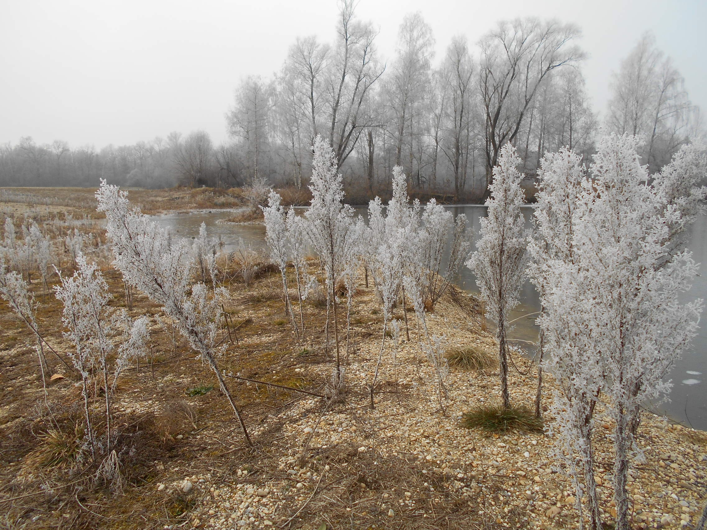 Winter 7-DSCN0795.jpg