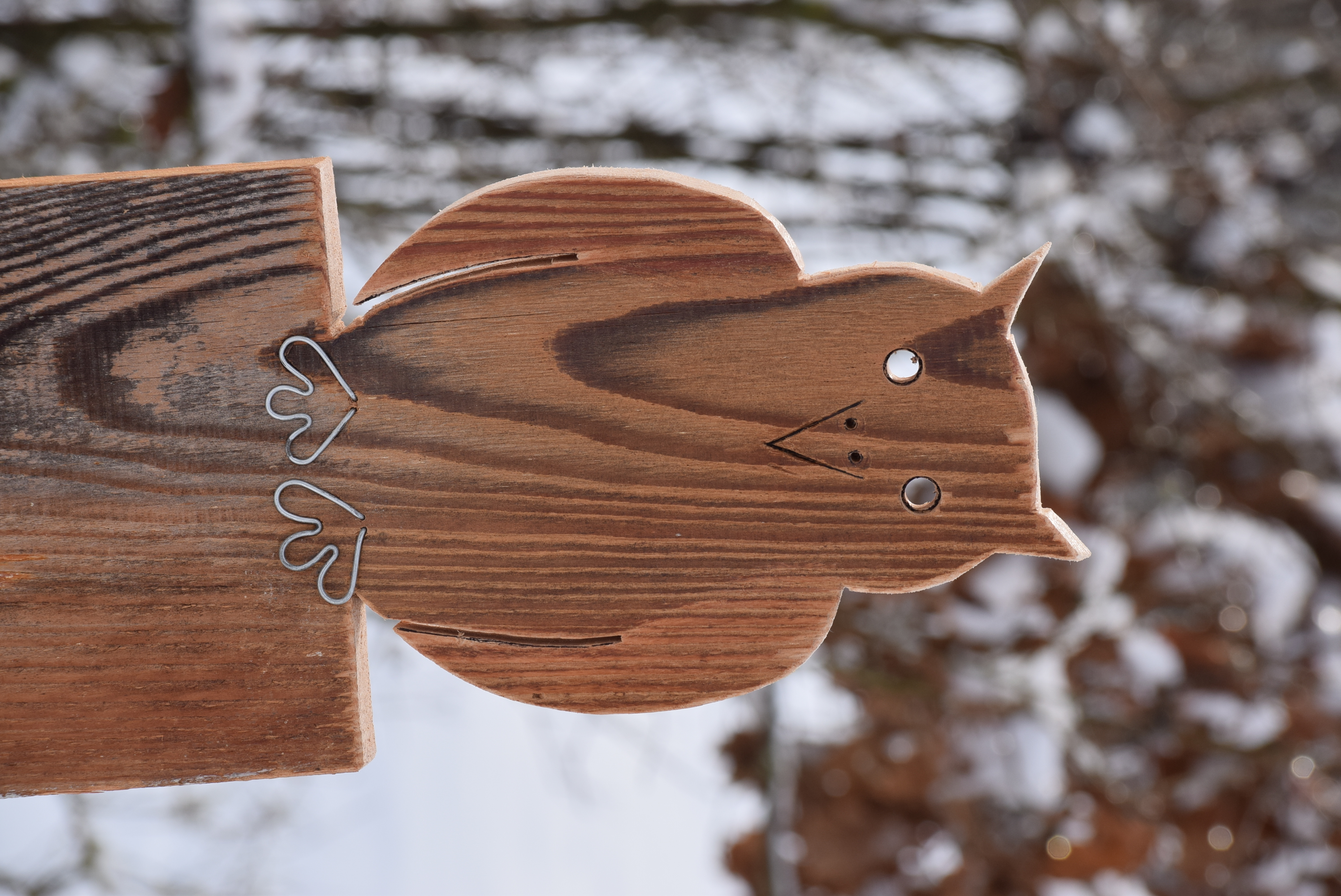 2021_08_11_Holzeule Copyright Landratsamt Deggendorf.JPG