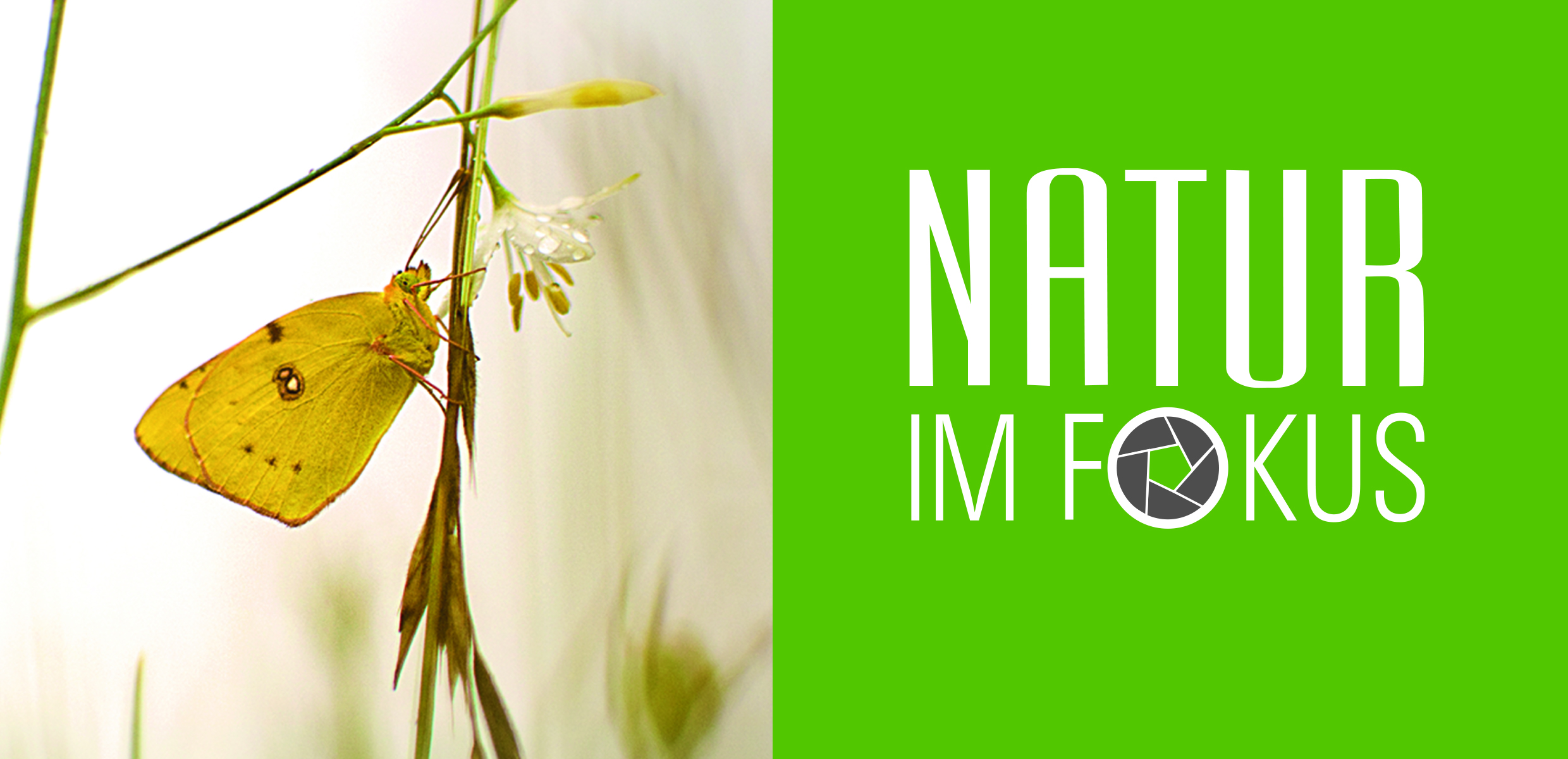 2021_09_17_Natur im Focus_PresseBild_NiFonTour 2021_210x100 mm.jpg