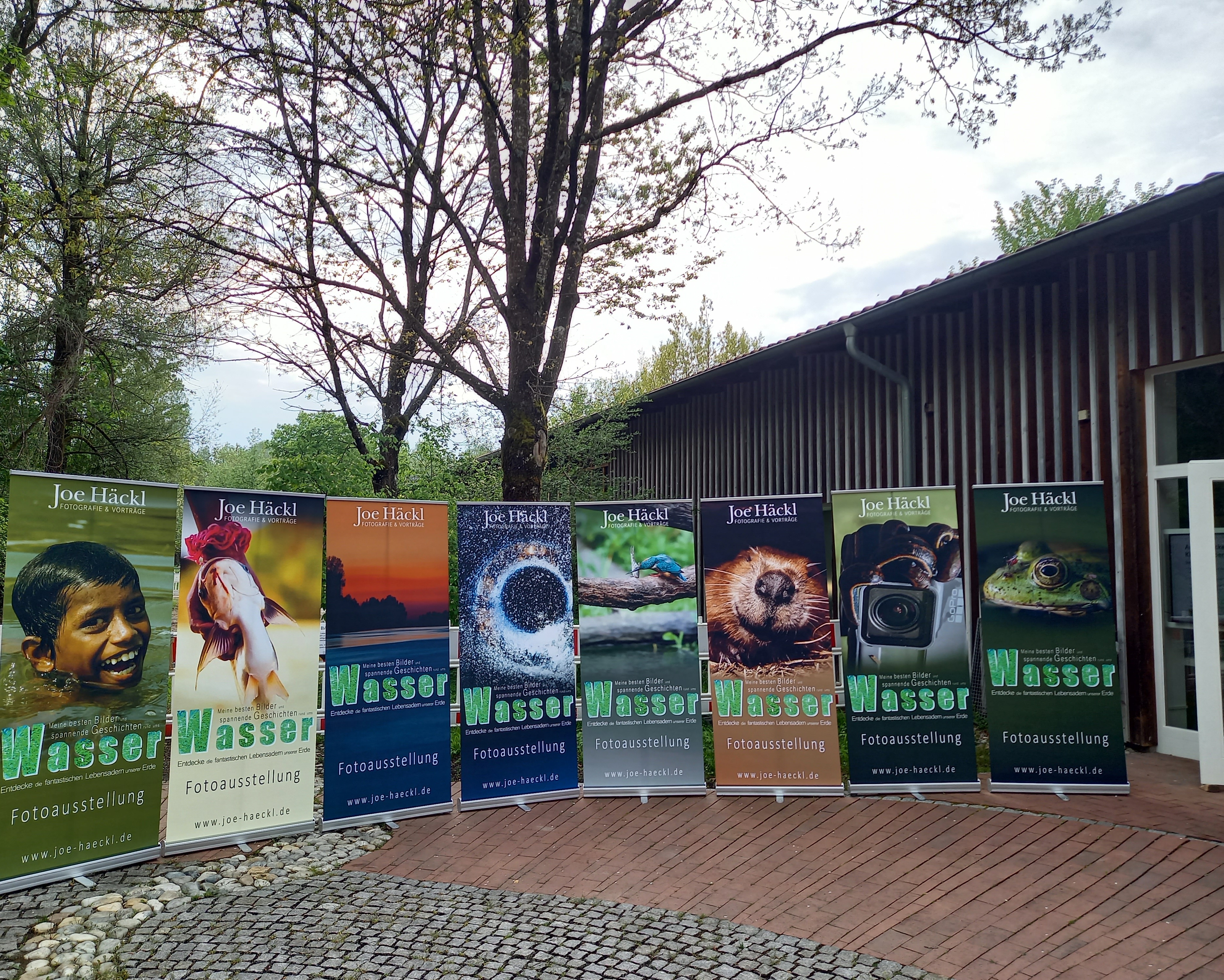 Ausstellung Mikrokosmos Rollups_LRA.jpg