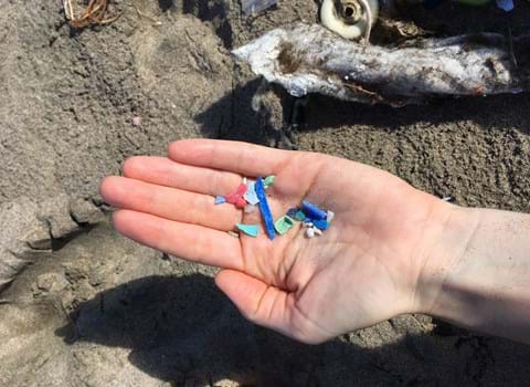 Mikroplastik - Vom Fluss ins Meer