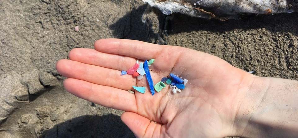 Mikroplastik - Vom Fluss ins Meer