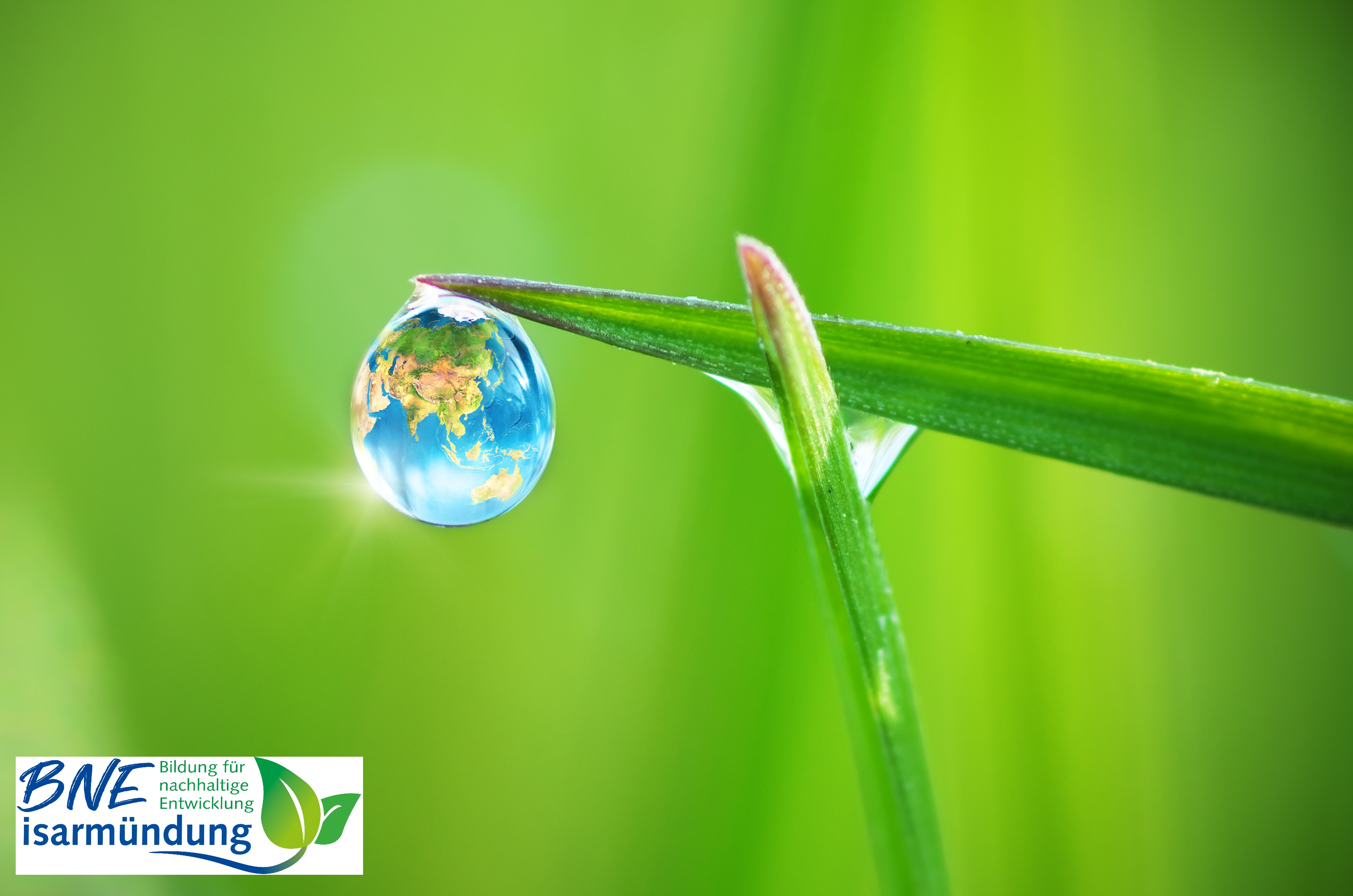 Thematische Führungen für Schulklassen "Bildung für nachhaltige Entwicklung"