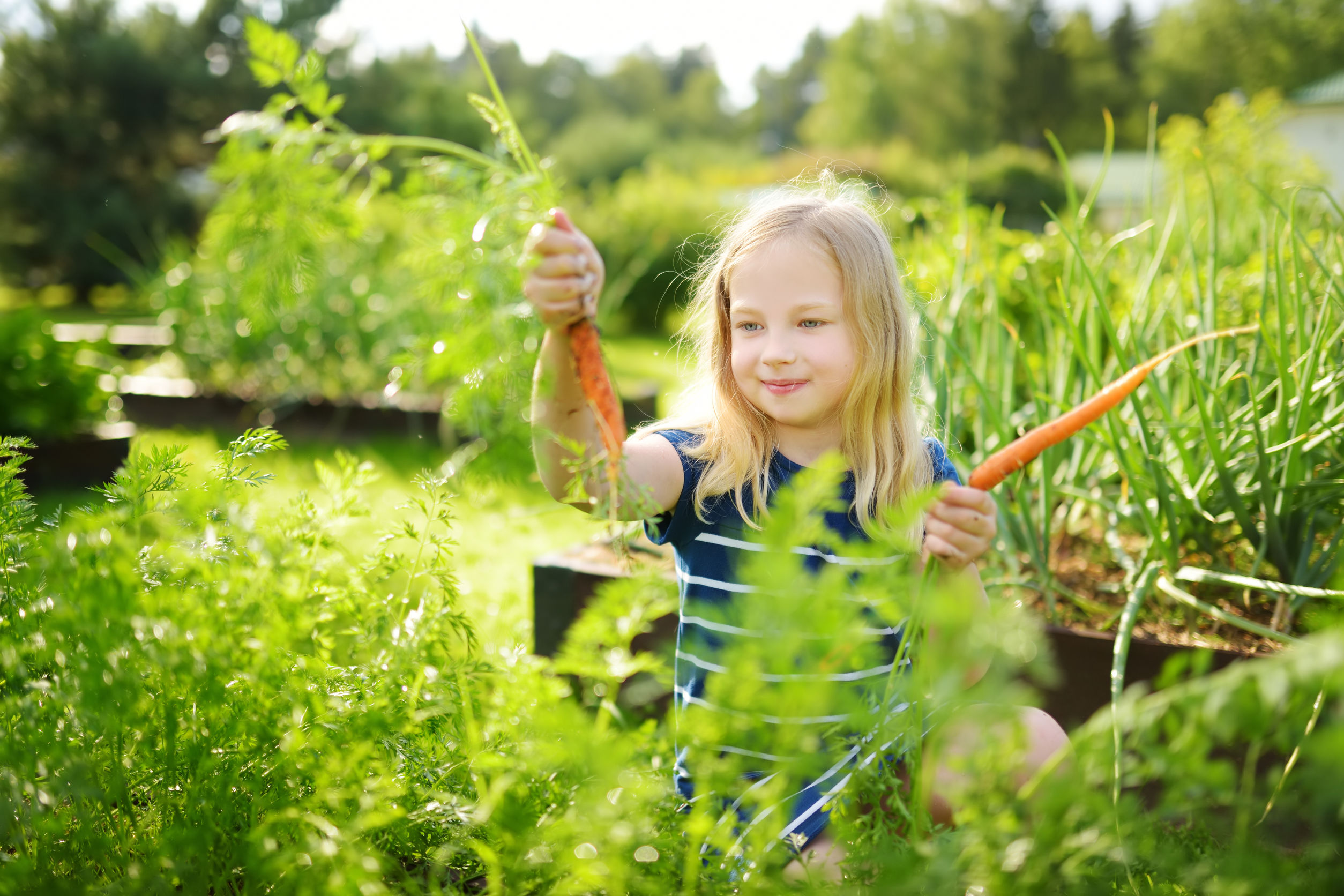 Gesunde und nachhaltige Ernährung - Verantwortung für die Zukunft