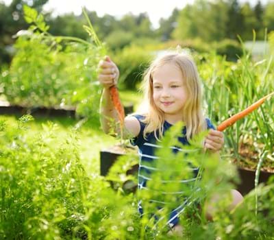 Gesunde und nachhaltige Ernährung - Verantwortung für die Zukunft