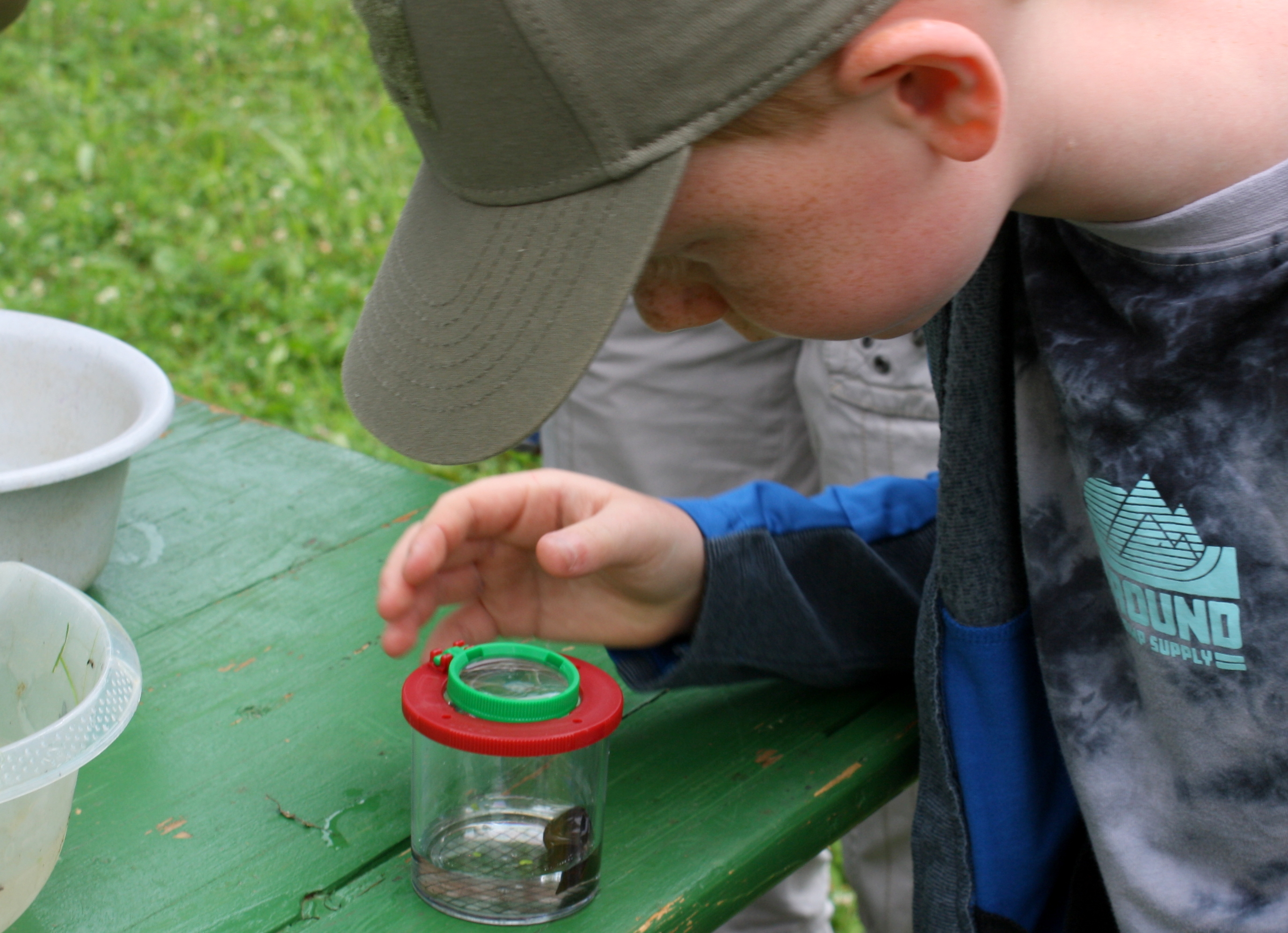 Lebensraum Wasser - Lebensgrundlage für Tiere, Pflanzen und uns Menschen