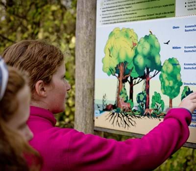 Lebensraum Wald - Expedition in unsere heimischen Wälder