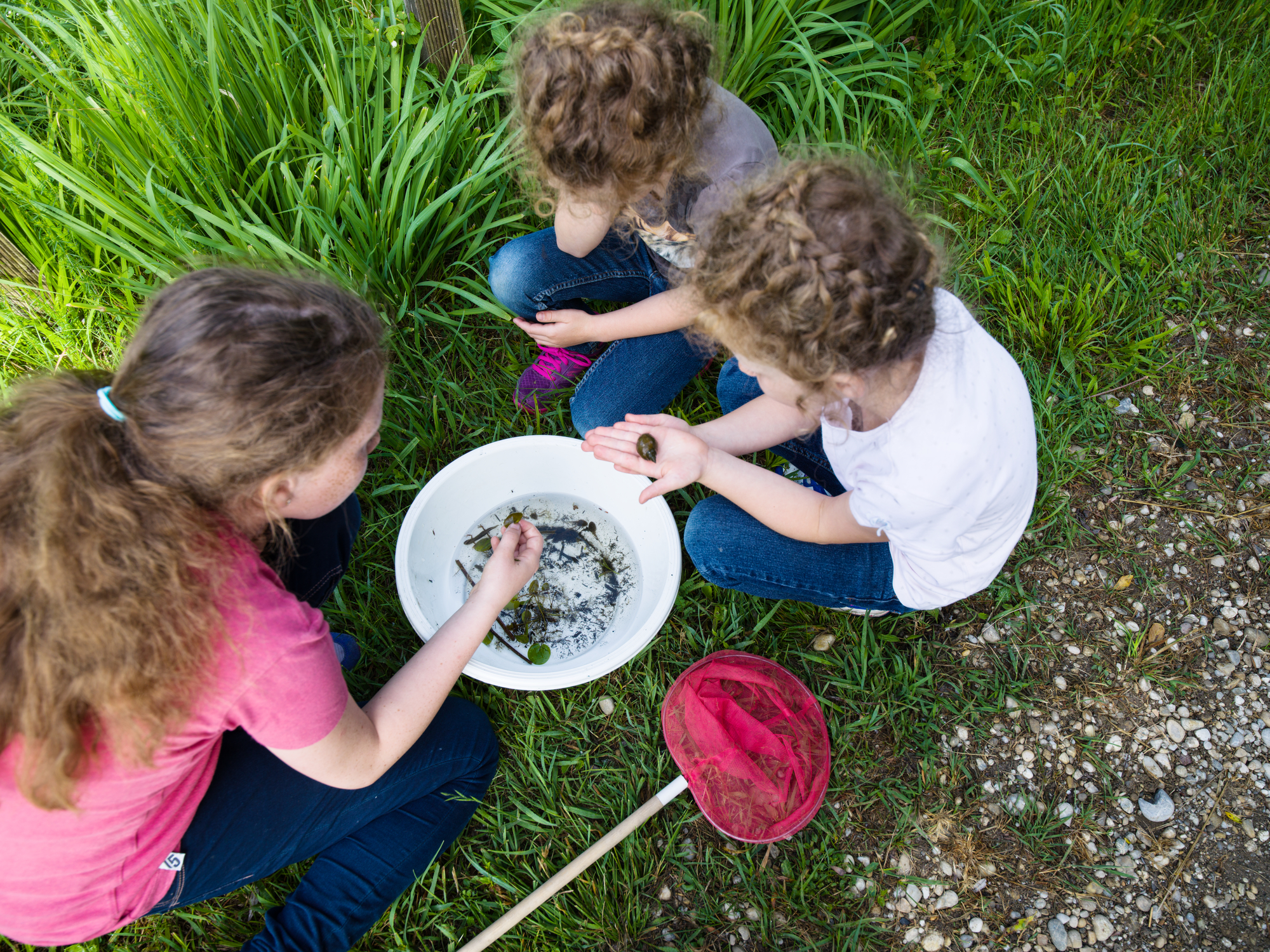 Lebensraum Wasser - Was lebt in Teich und Aubach?
