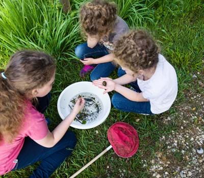 Lebensraum Wasser - Was lebt in Teich und Aubach?