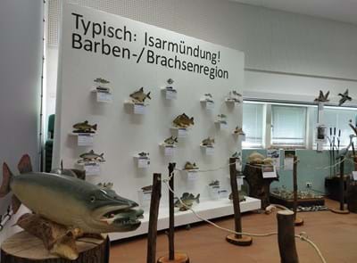 Ausstellungseröffnung Fische_Typisch Isarmündung_01.jpg