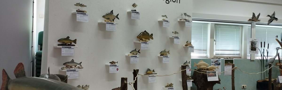 Ausstellungseröffnung Fische_Typisch Isarmündung_01.jpg