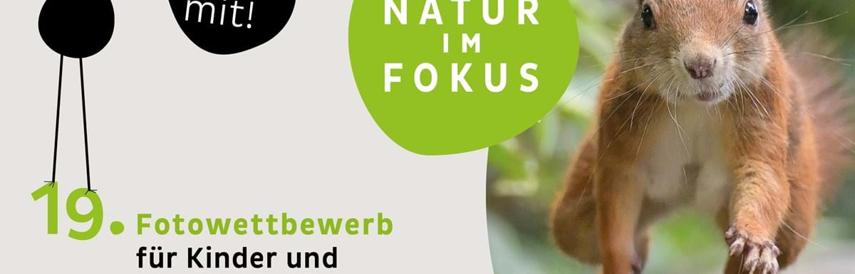 2025_NIF19_Banner_Webformate_FB_1_1200x628.jpg