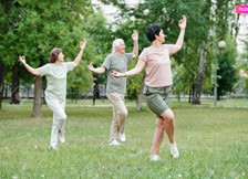 Herz, Dünndarm und Kreislauf