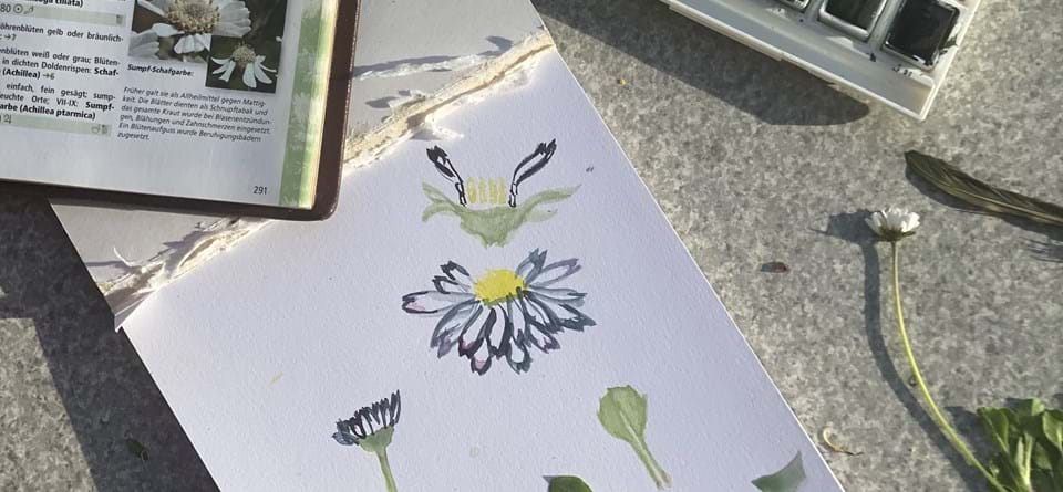 in der Natur zeichnen