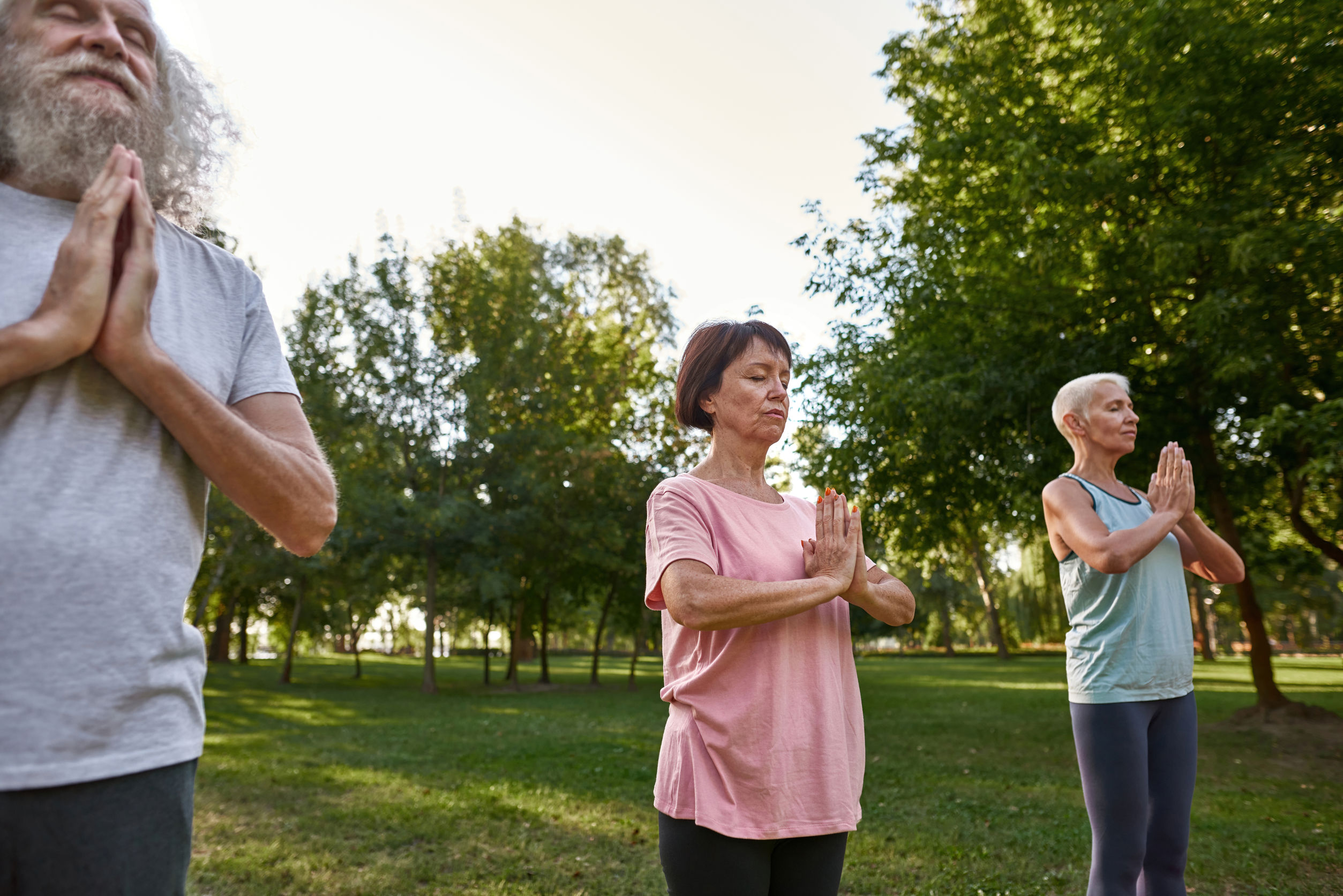 für Galle und Leber