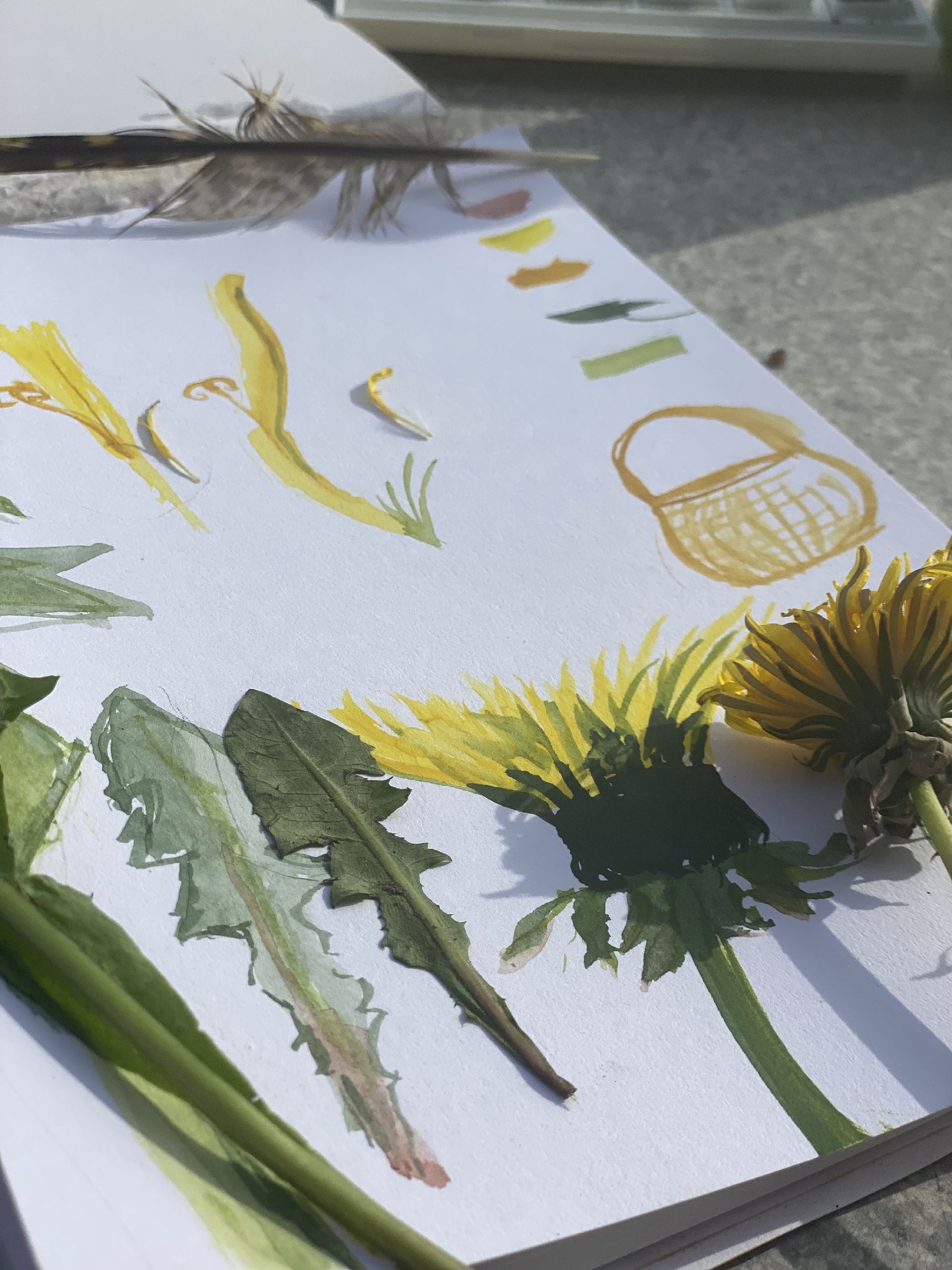 in der Natur zeichnen