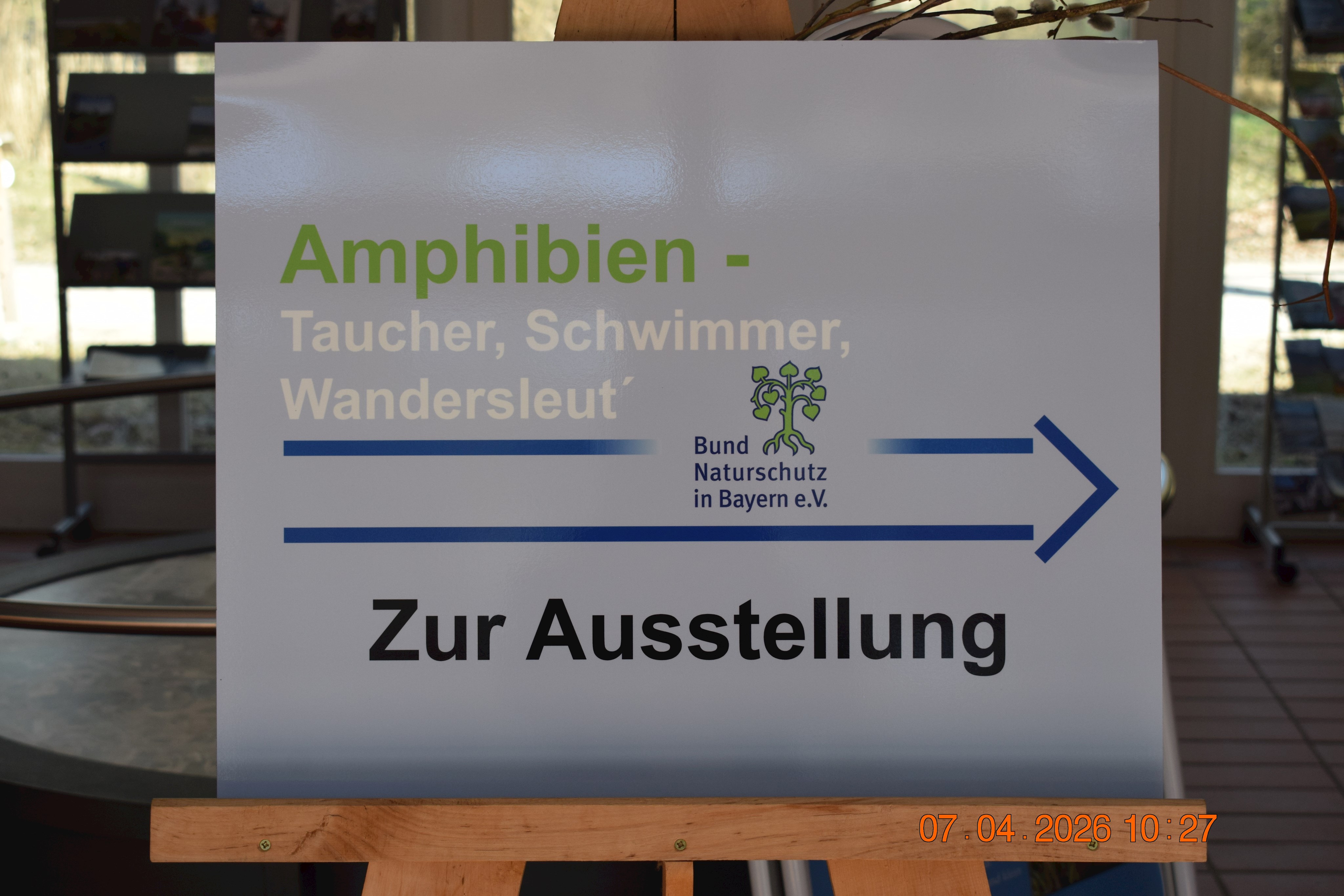202604-InfozentrumIsarmündung-AmphibienAusstellung002-KonofskyL.JPG
