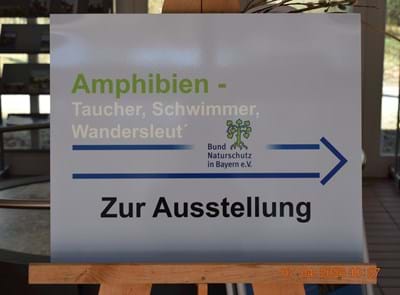 202604-InfozentrumIsarmündung-AmphibienAusstellung002-KonofskyL.JPG