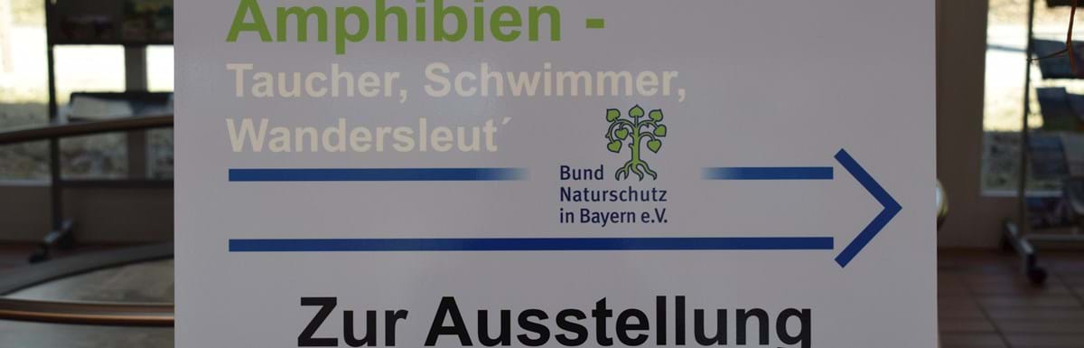 202604-InfozentrumIsarmündung-AmphibienAusstellung002-KonofskyL.JPG