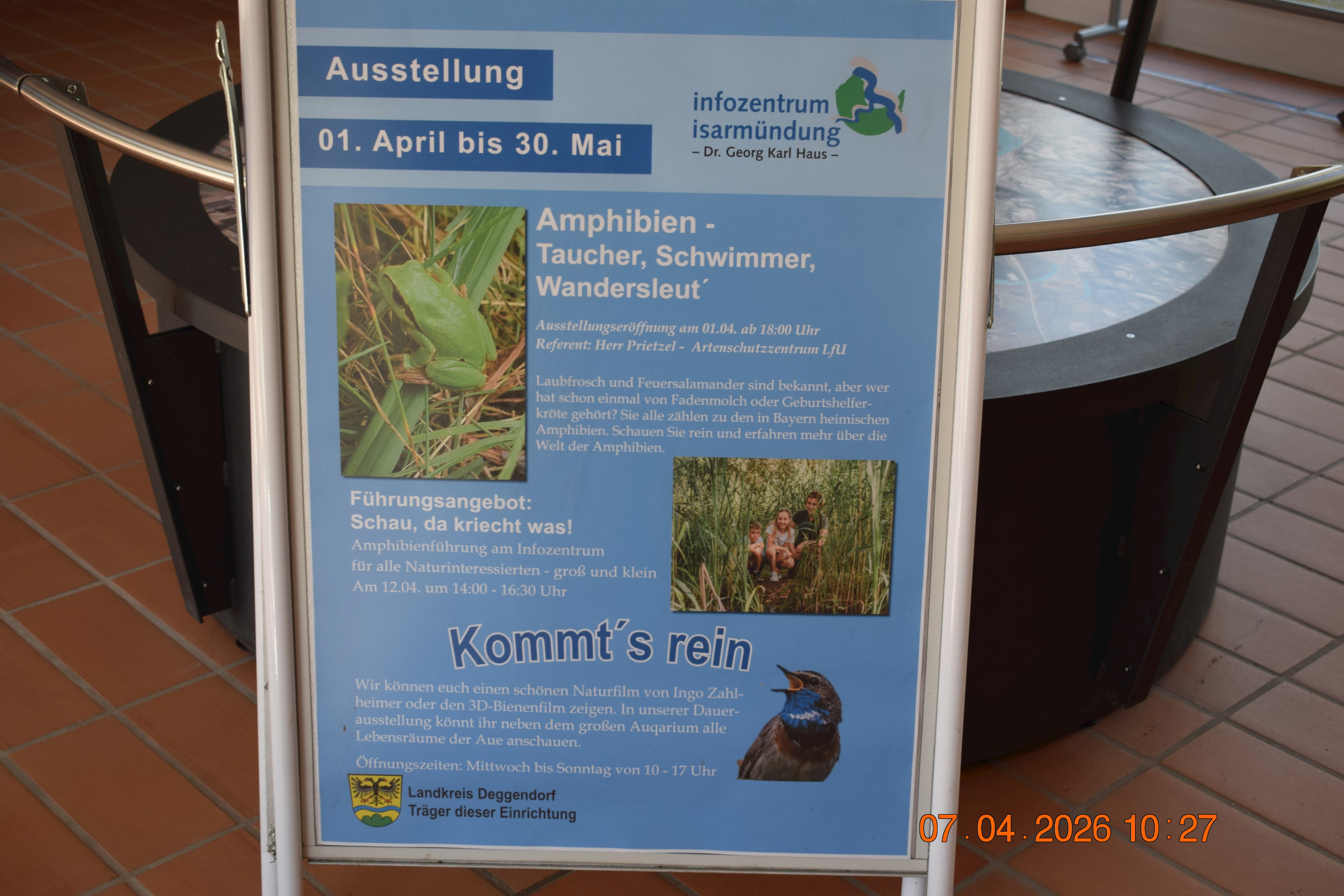 202604-InfozentrumIsarmündung-AmphibienAusstellung003-KonofskyL.JPG