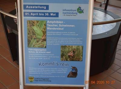 202604-InfozentrumIsarmündung-AmphibienAusstellung003-KonofskyL.JPG