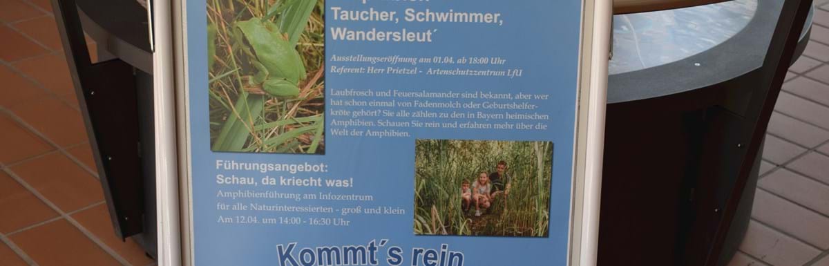 202604-InfozentrumIsarmündung-AmphibienAusstellung003-KonofskyL.JPG